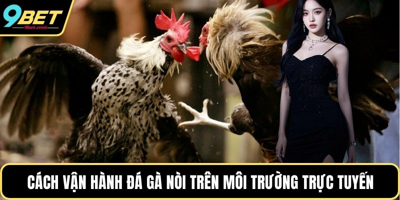 Cách vận hành đá gà nòi trên môi trường trực tuyến