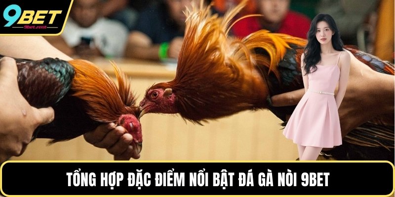 Tổng hợp đặc điểm nổi bật đá gà nòi 9bet